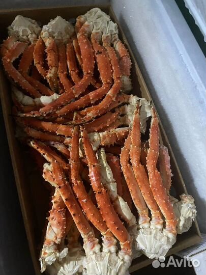 Клешни камчатского краба. Крупные