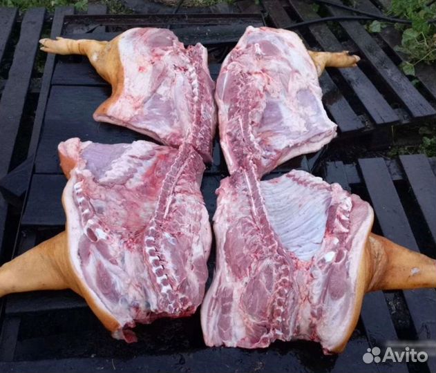 Свинина. Полутуши. Четвертинки. Целый поросенок