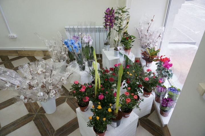 Торговая площадь, 180.7 м²