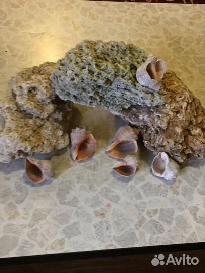 Для аквариума