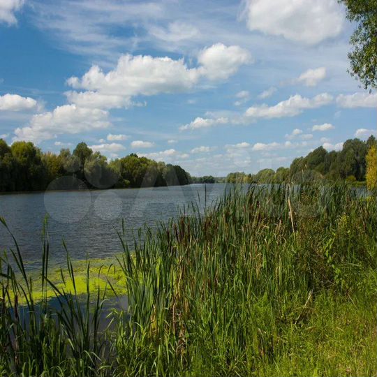 Участок 6 сот. (ИЖС)