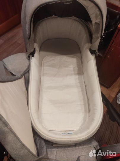 Коляска 2 в 1 adamex cortina