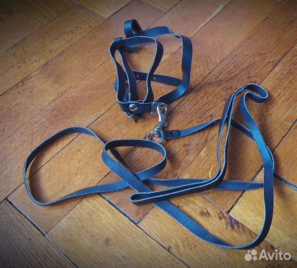 Шлейка, поводок и ошейник для домашних животных