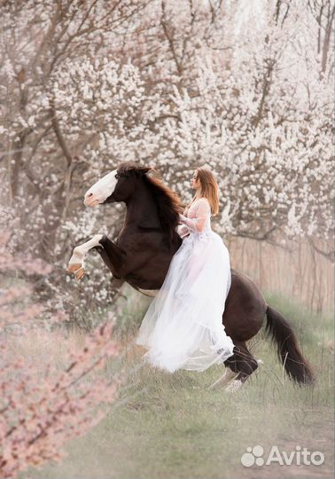 Прокат на лошади