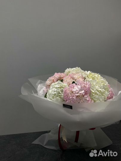 Гортензия, доставка Астрахань