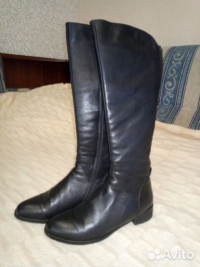 Сапоги еврозима