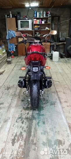 Racer 200 nitro