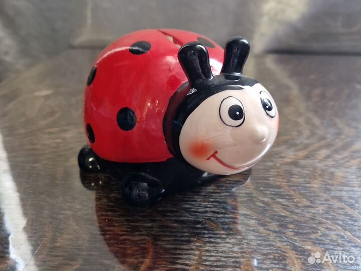 Капилка Божья коровка