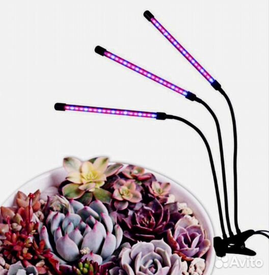 Фито лампа для растений