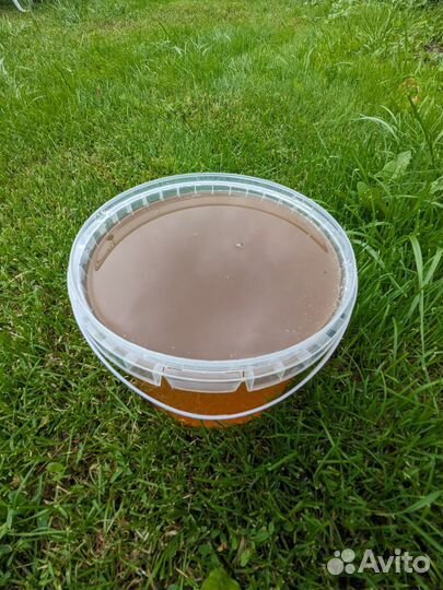 Свежий мед, 3 литра с доставкой