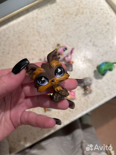 Littlest pet shop lps