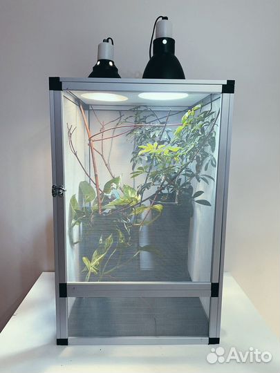 Сетчатые террариумы