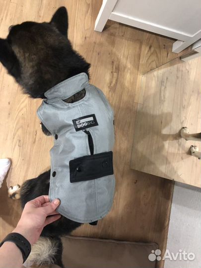 Шлейка для собак