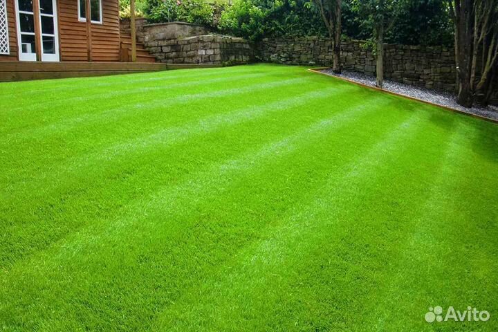 Рулонный газон /продажа/укладка