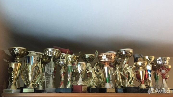 Тренер по большому теннису