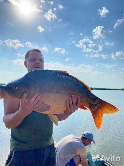 Рыбалка х. Шуваев 