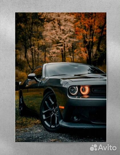 Постер в рамке