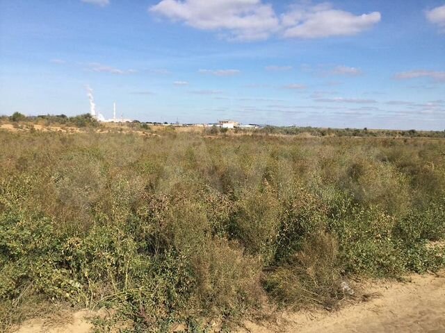 Участок 8,03 га (ИЖС)