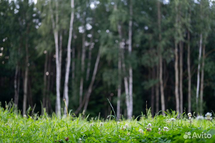 Предметная съемка / Обработка фотографий