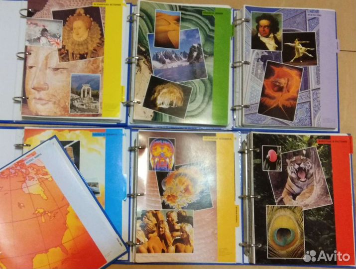 Древо познания