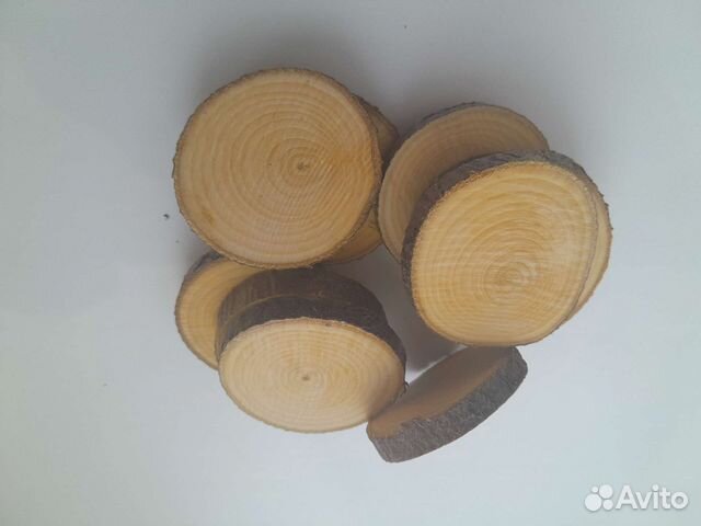Торцевые спилы рябины