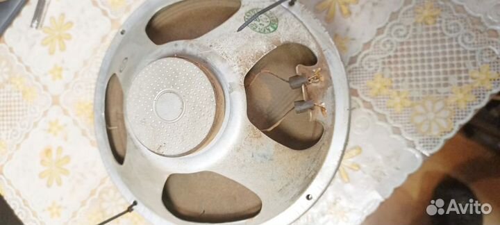 Динамики от ригонда