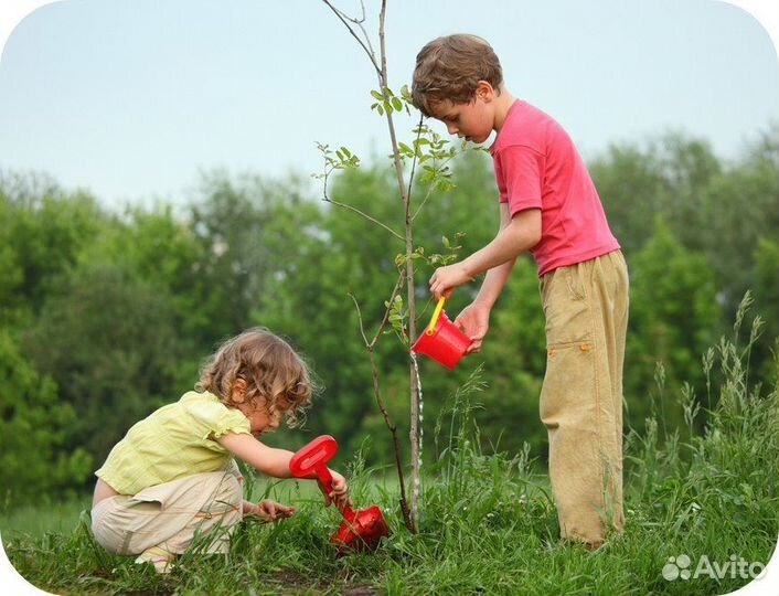 Грунт растительный