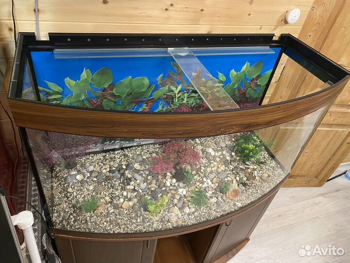 Аквариум с тумбой 350 литров и освещением