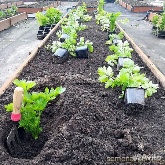 Перегной,плодородка в мешках по 25 кг пе П-48.8