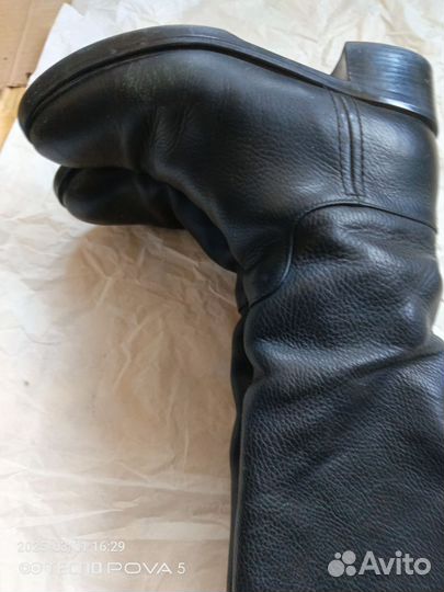 Сапоги женские