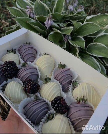 Клубника в шоколаде наборы