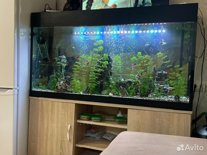 Аквариум с тумбой 300 литров