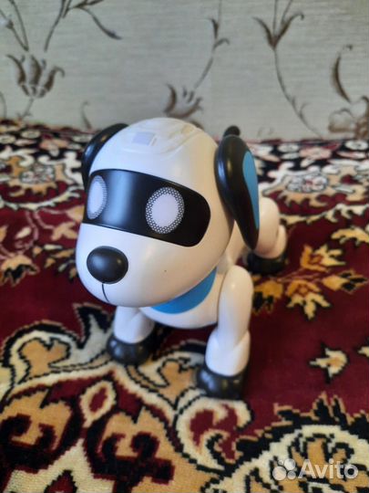 Собака акробат