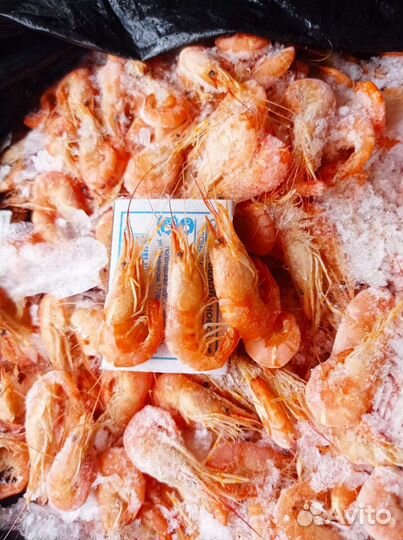 Креветка азовская от 3 кг