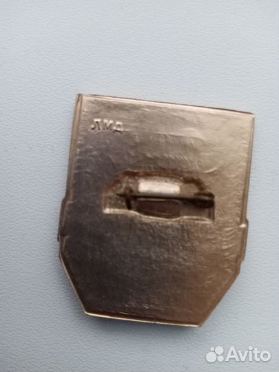 Значок дружинник