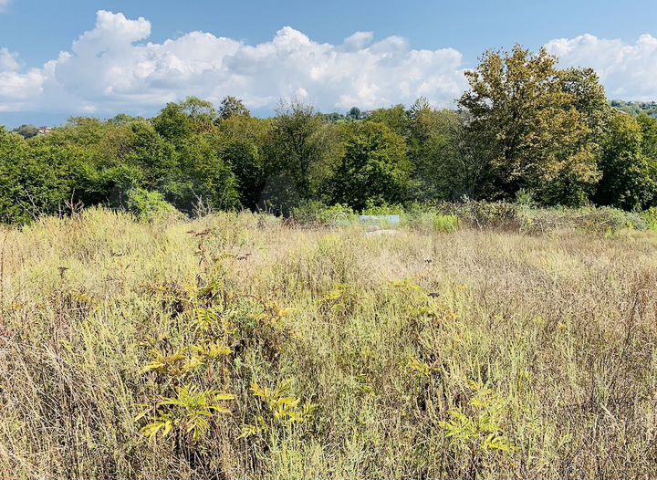 Участок 87,8 сот. (СНТ, ДНП)