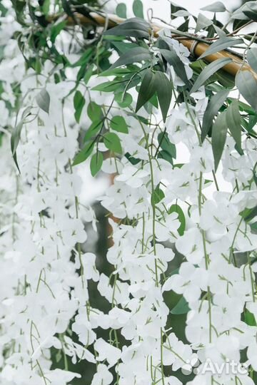 Свадебная арка в аренду