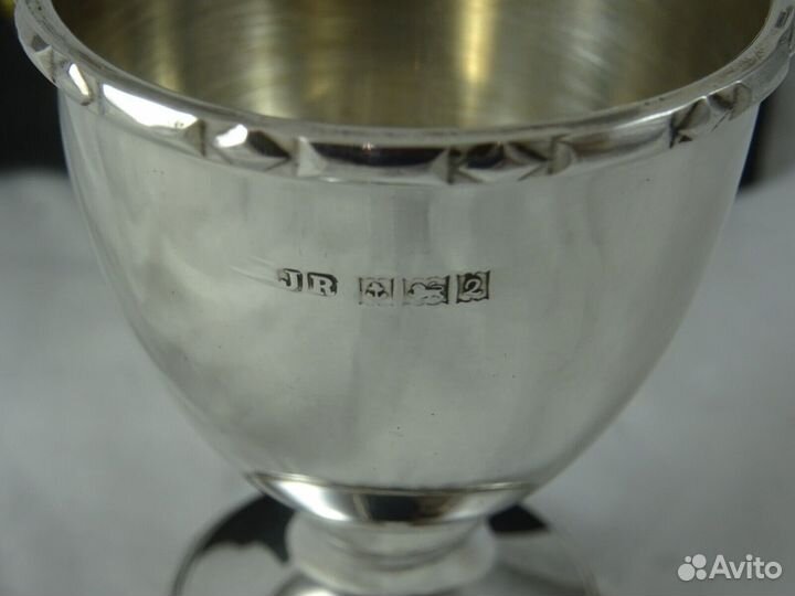 Серебряная Пашотница