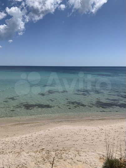 Участок 15 га (СНТ, ДНП)