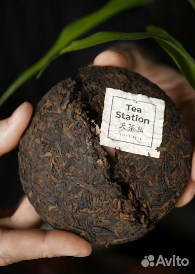 Шу Пуэр Богатство Tea Station / 100 гр