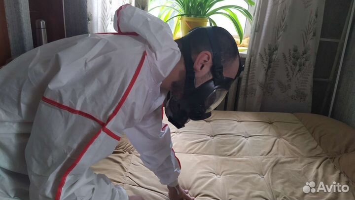 Травля тараканов клопов