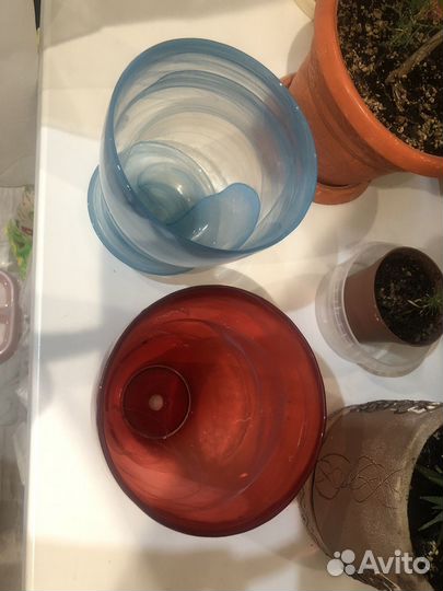 Горшок для орхидеи стеклянный