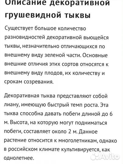 Семена декоративной тыквы