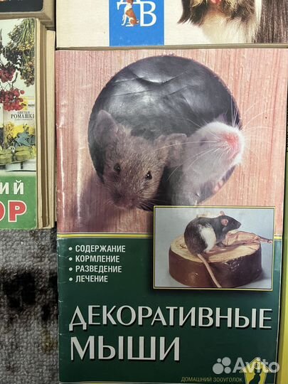 Книги отдам