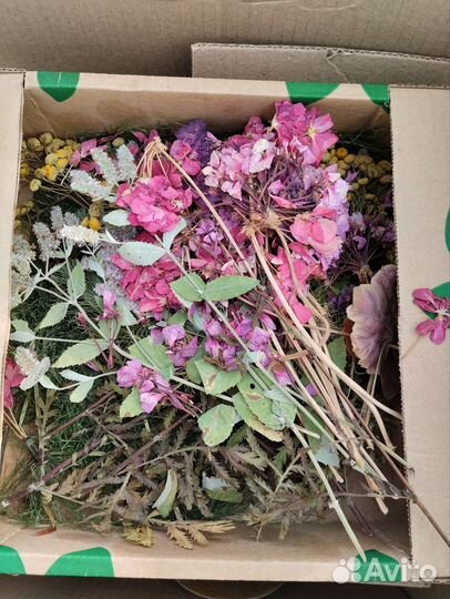 Сухоцветы (для дизайнерской бумаги и эпоксидки)