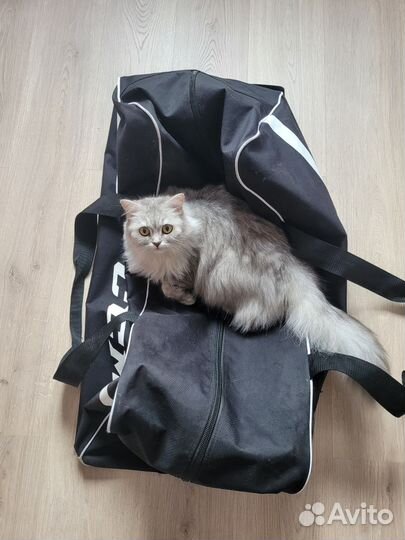 Хоккейный баул на колесах ccm