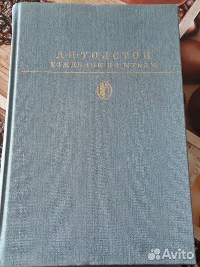 Хождение по мукам