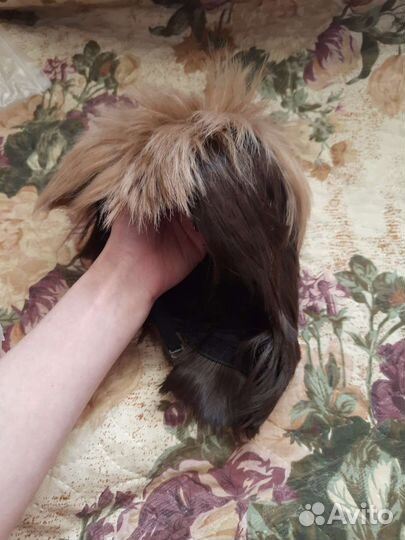 Парик Жана. Атака титанов