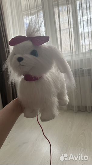 Интерактивная игрушка