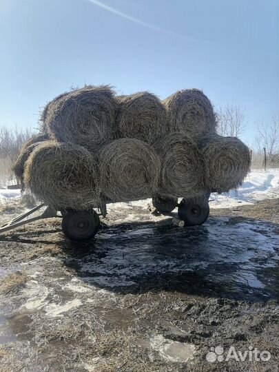Сено в рулонах